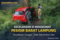 Kondisi kendaraan yang mengalami kecelakaan tunggal di wilayah Bengkunat, Pesisir Barat, Lampung, Jumat (19/1/2024). Terlihat sebuah mobil berwarna merah keluar dari badan jalan dan masuk ke area semak-semak, sementara sejumlah warga setempat memberikan bantuan dan memeriksa kondisi kendaraan. Peristiwa ini tidak menimbulkan korban jiwa. (Dok. SISKOMPN.COM)
