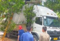 Pohon tumbang Ciawi di Jalan Raya Ciawi–Sukabumi menimpa mobil dan truk. Dua pengemudi terluka ringan, petugas lakukan evakuasi di lokasi.