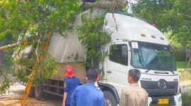Pohon tumbang Ciawi di Jalan Raya Ciawi–Sukabumi menimpa mobil dan truk. Dua pengemudi terluka ringan, petugas lakukan evakuasi di lokasi.