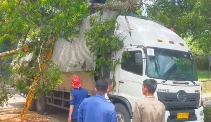 Pohon tumbang Ciawi di Jalan Raya Ciawi–Sukabumi menimpa mobil dan truk. Dua pengemudi terluka ringan, petugas lakukan evakuasi di lokasi.
