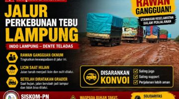 jalur perkebunan tebu Lampung licin dan rawan gangguan bagi sopir truk